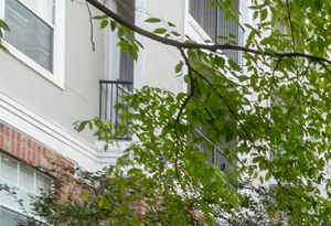 savannah midtown apartments | Savannah Midtown Apartments in Atlanta, GA